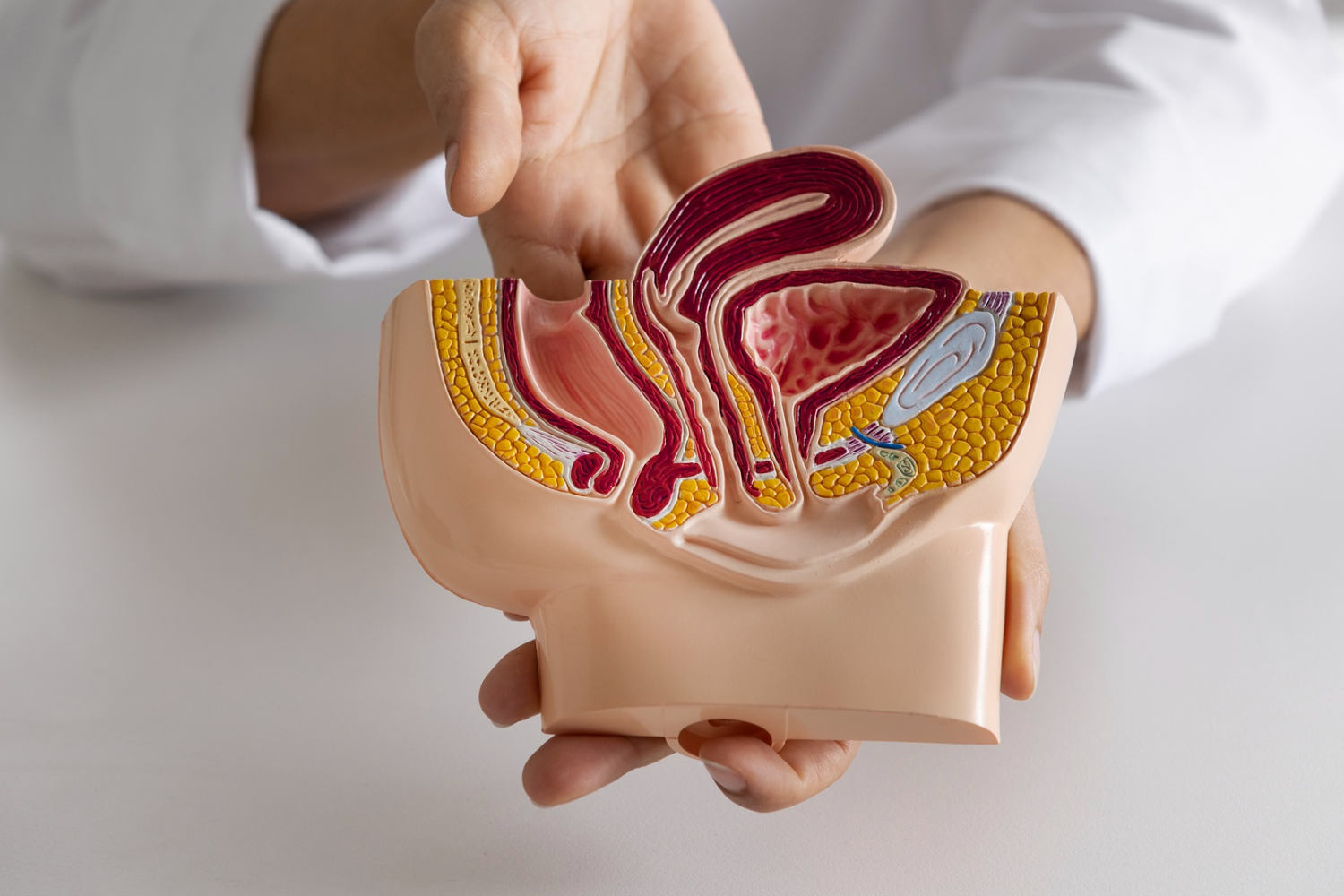 Día del Cáncer de Próstata: Concienciación y Prevención