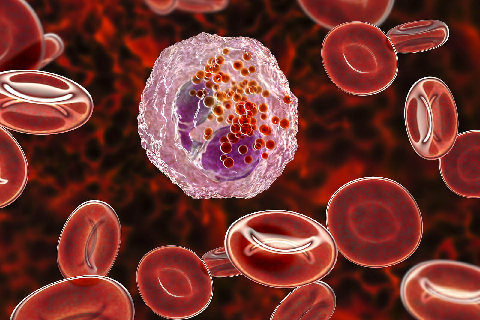 Los eosinófilos altos y el cáncer: Desmitificando mitos y aclarando dudas